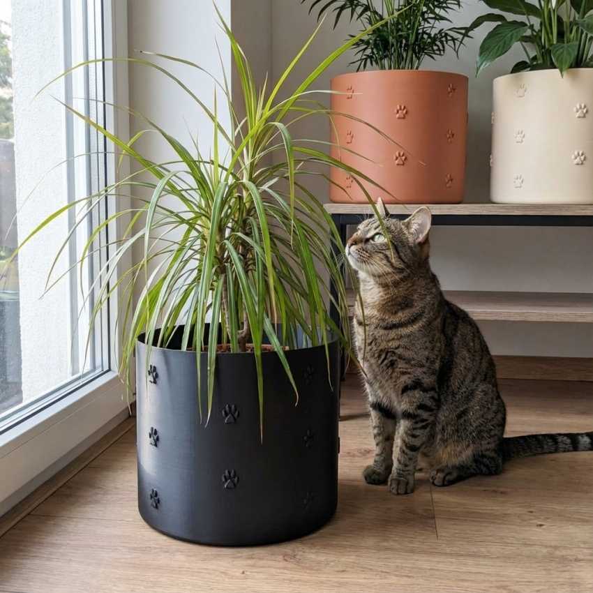 Bloempot Matou sur cache-pot.fr