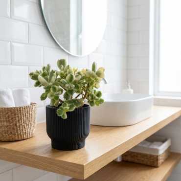 Maceta decorativa Linéa sur cache-pot.fr