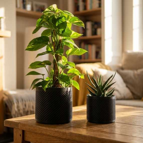 Oblicon planter cover sur cache-pot.fr