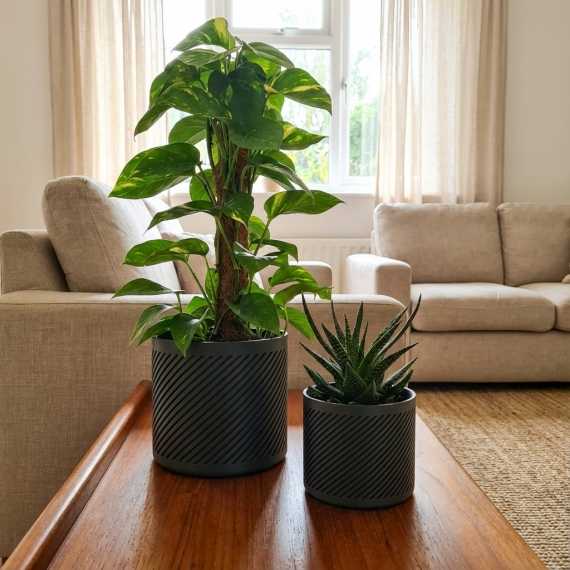 Oblicon planter cover sur cache-pot.fr