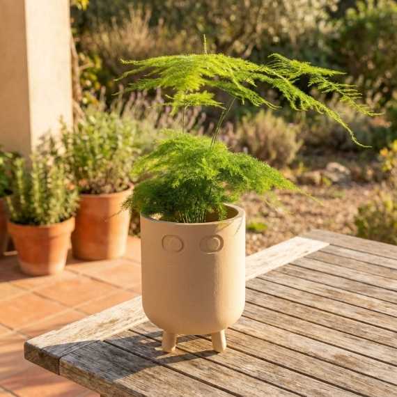 Planter Pot Bonhomme sur cache-pot.fr