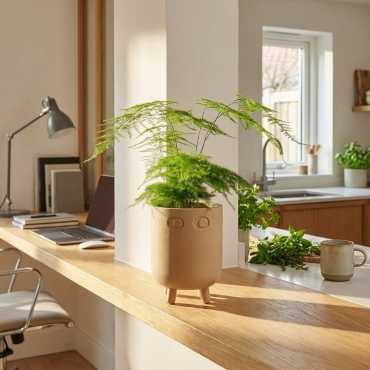 Bloempot Bonhomme sur cache-pot.fr