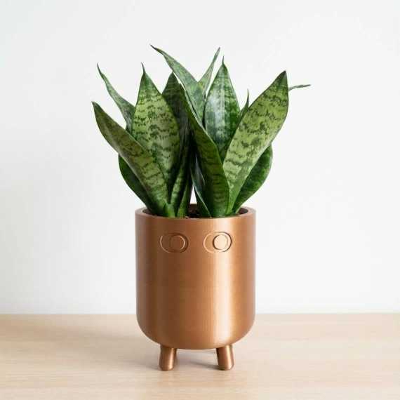 Cache-pot Uomodecorativo sur cache-pot.fr