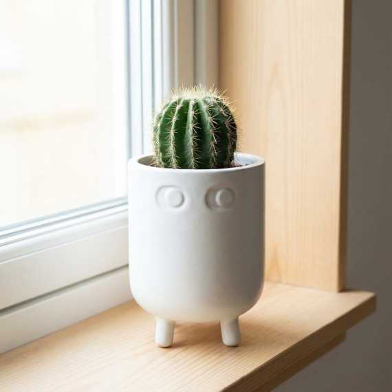 Maceta Bonhomme sur cache-pot.fr