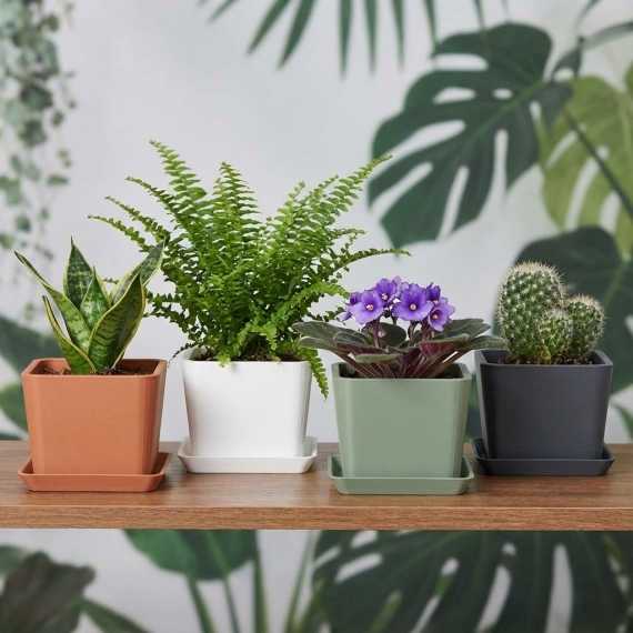 Square plant pot cover sur cache-pot.fr