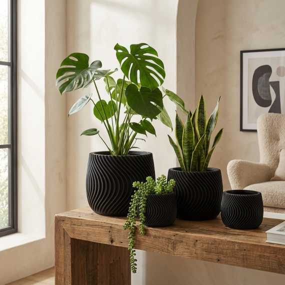 Waves planter pot sur cache-pot.fr