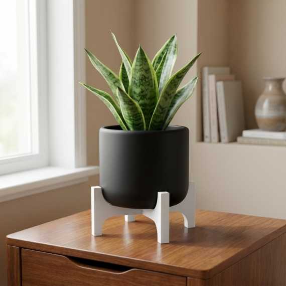 Quadra Pot sur cache-pot.fr