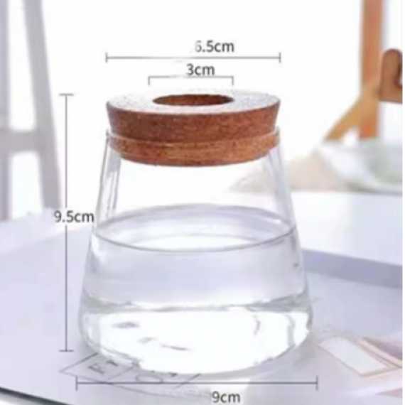 Hydroponischer Pflanztopf aus Glas sur cache-pot.fr