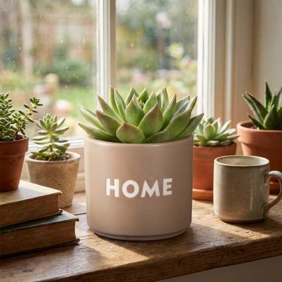 Vaso HOME sur cache-pot.fr