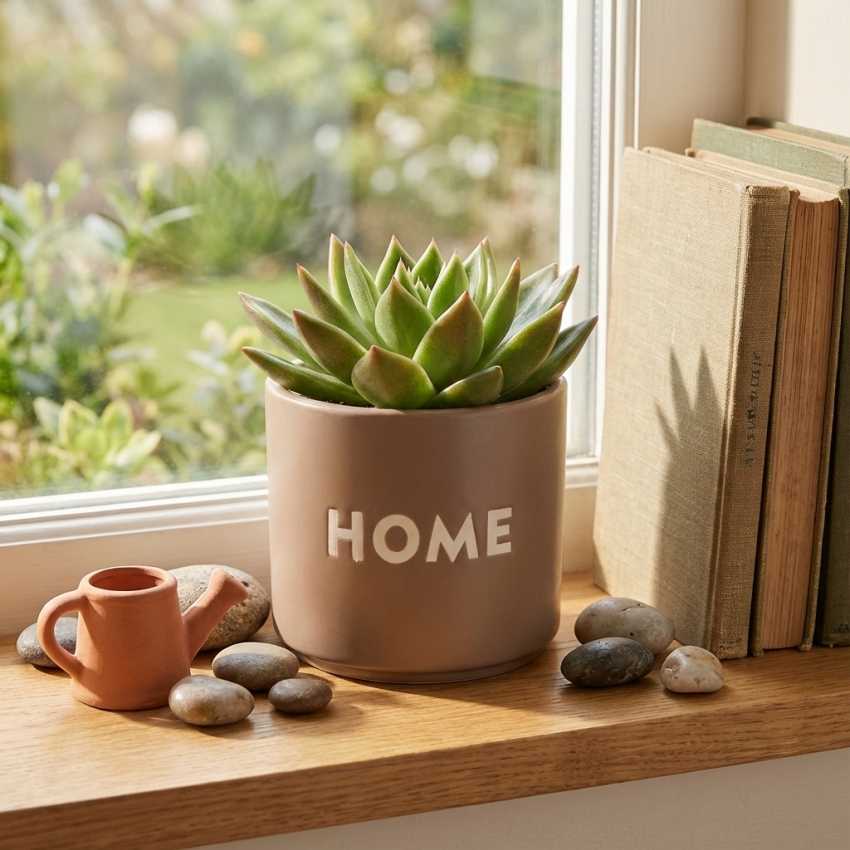 HOME Plant Pot sur cache-pot.fr