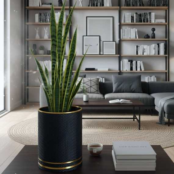 Macetero decorativo bicolor sur cache-pot.fr