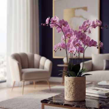 Cache-pot per ornamenti floreali sur cache-pot.fr