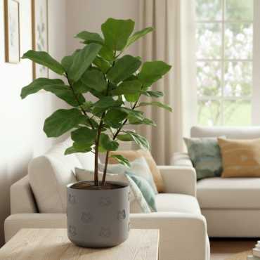 Blumentopf mit Katzenmuster sur cache-pot.fr