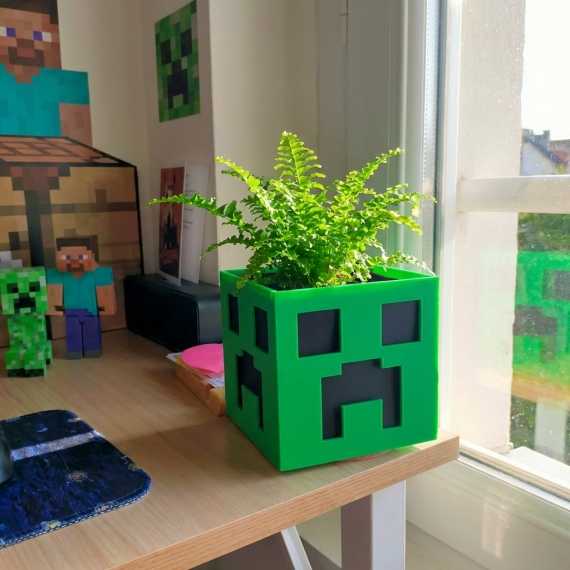Macetero Creeper sur cache-pot.fr