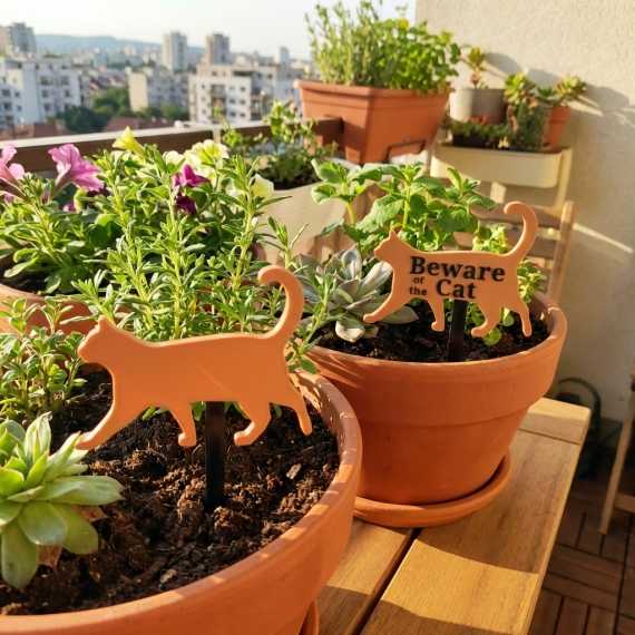 Plantlabel Kat sur cache-pot.fr