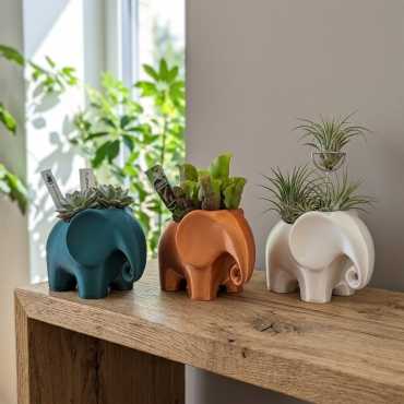 Sierpot Dumbo sur cache-pot.fr