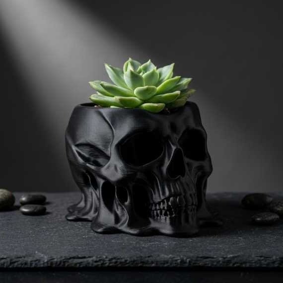 Coprivaso Teschio sur cache-pot.fr