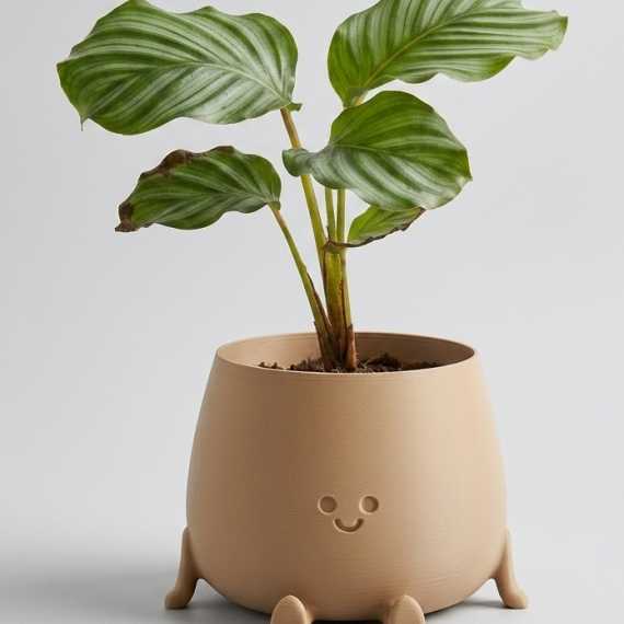 Happy Plant pot sur cache-pot.fr