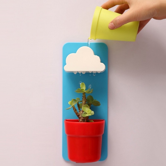 Plante à faire pousser chez soi - 1 Plante à faire pousser chez soi - 1