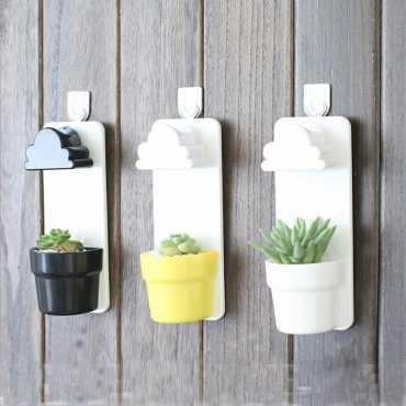 Plant to grow at home - 2 Plant to grow at home - 2