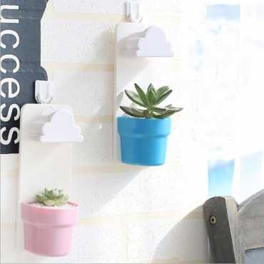 Plant to grow at home - 3 Plant to grow at home - 3