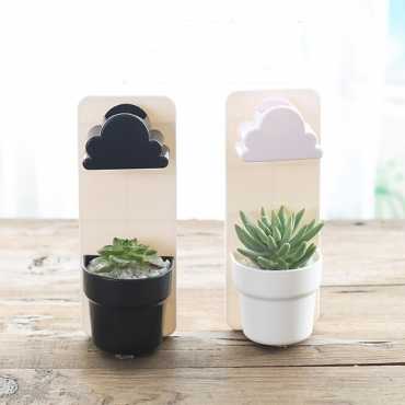 Plant to grow at home - 4 Plant to grow at home - 4