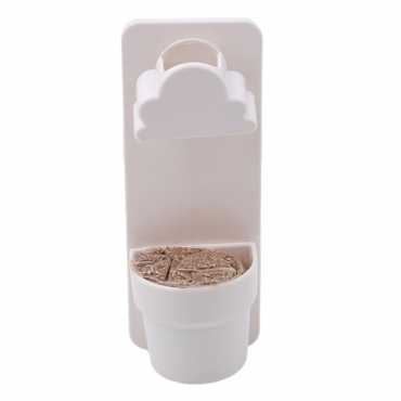 Plant to grow at home - 10 Plant to grow at home - 10
