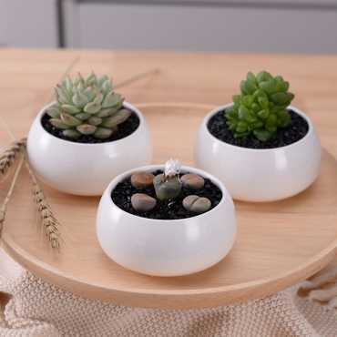 Les 3 pots en céramique et leur plateau en bois - 5 Les 3 pots en céramique et leur plateau en bois - 5