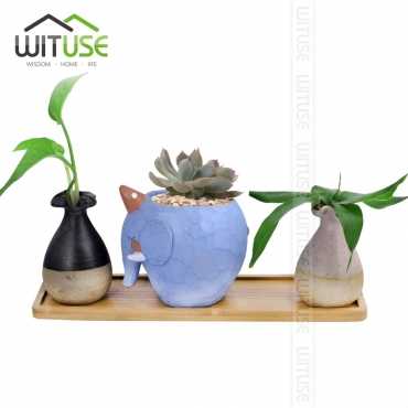 Soucoupe pour pot de fleur - 5 Soucoupe pour pot de fleur - 5