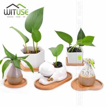 Soucoupe pour pot de fleur - 6 Soucoupe pour pot de fleur - 6