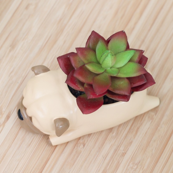 Sleeping dog flower pot - 5